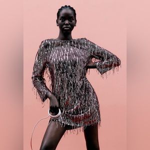 Sequin Fringe Burgundy Zara Mini Dress